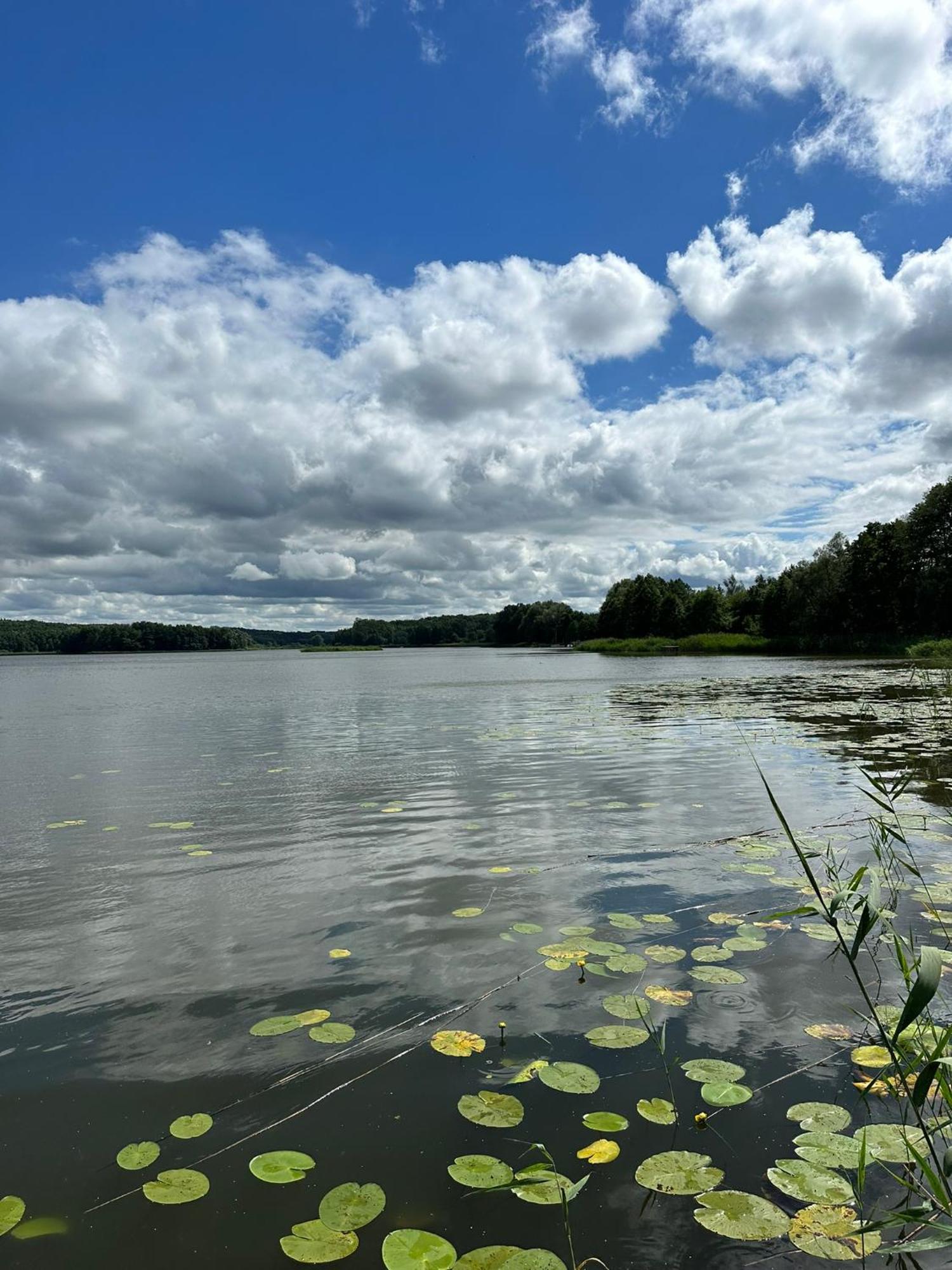Brzezina Resort - Wille Żnin Esterno foto
