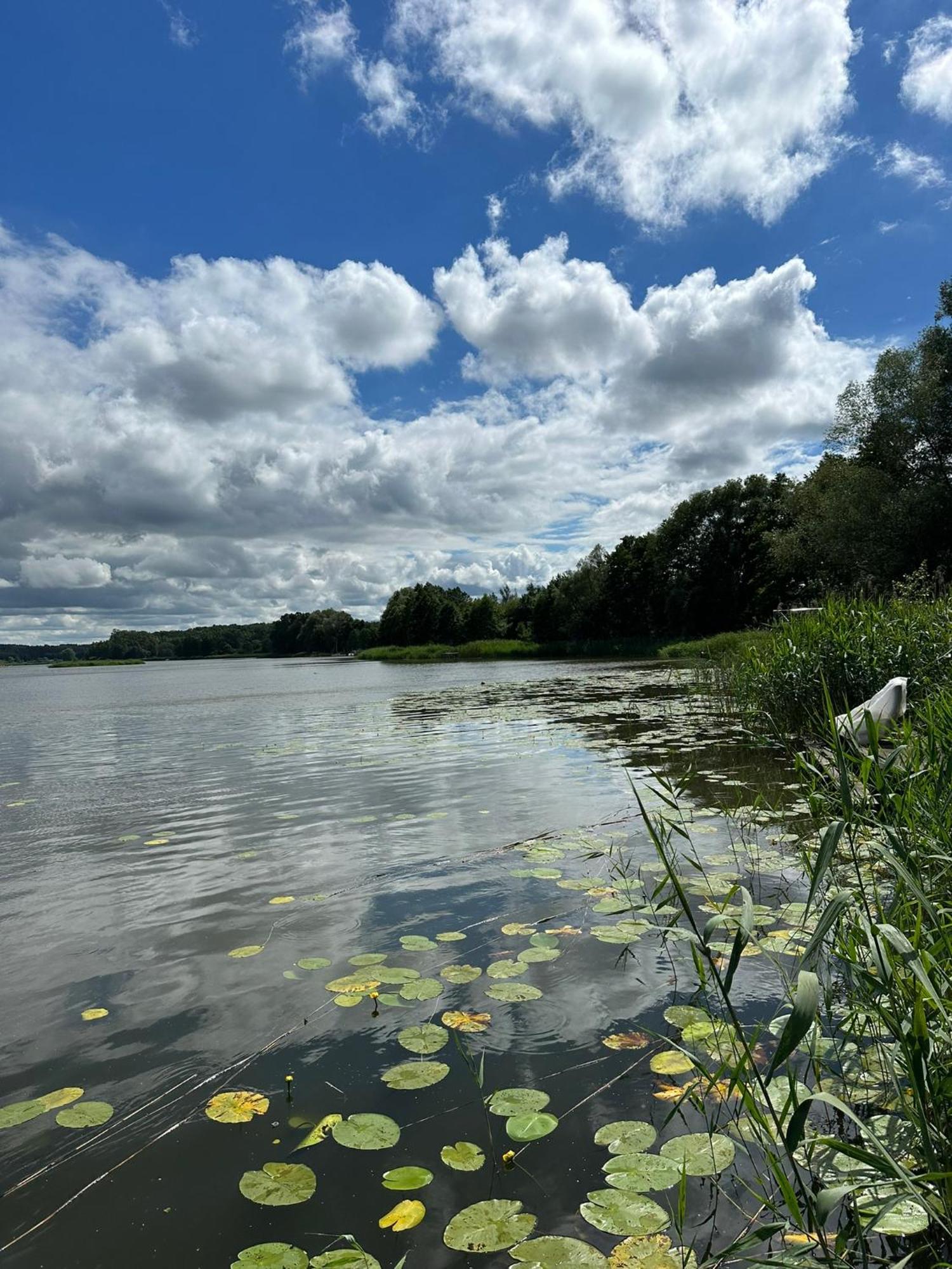Brzezina Resort - Wille Żnin Esterno foto