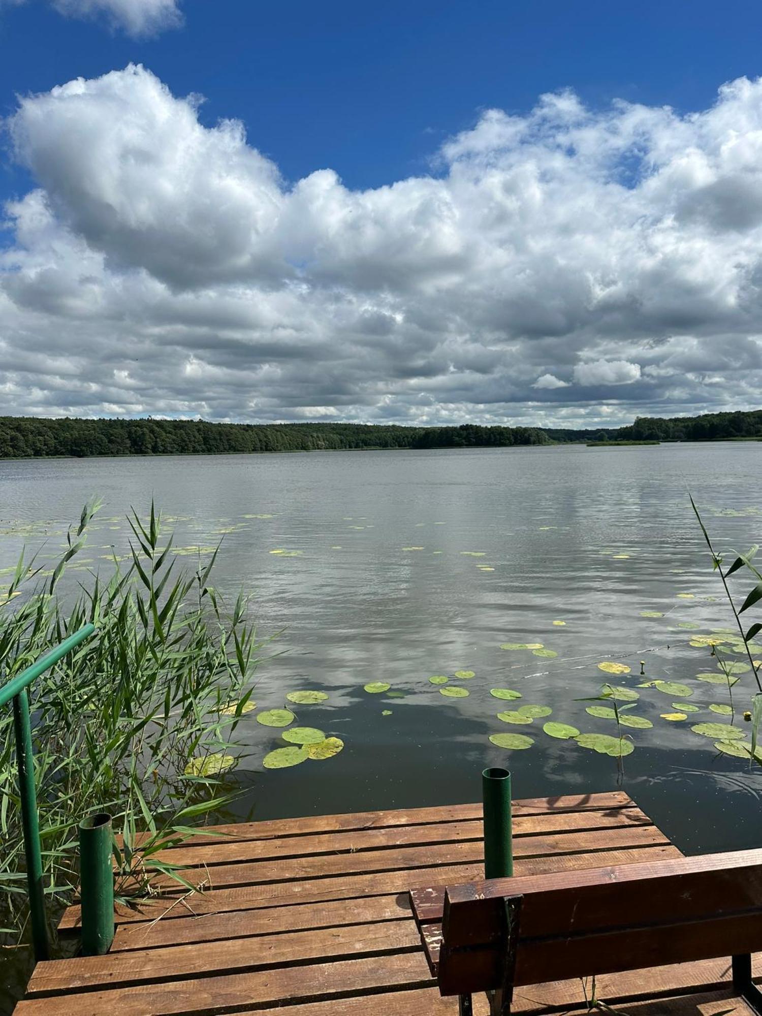 Brzezina Resort - Wille Żnin Esterno foto