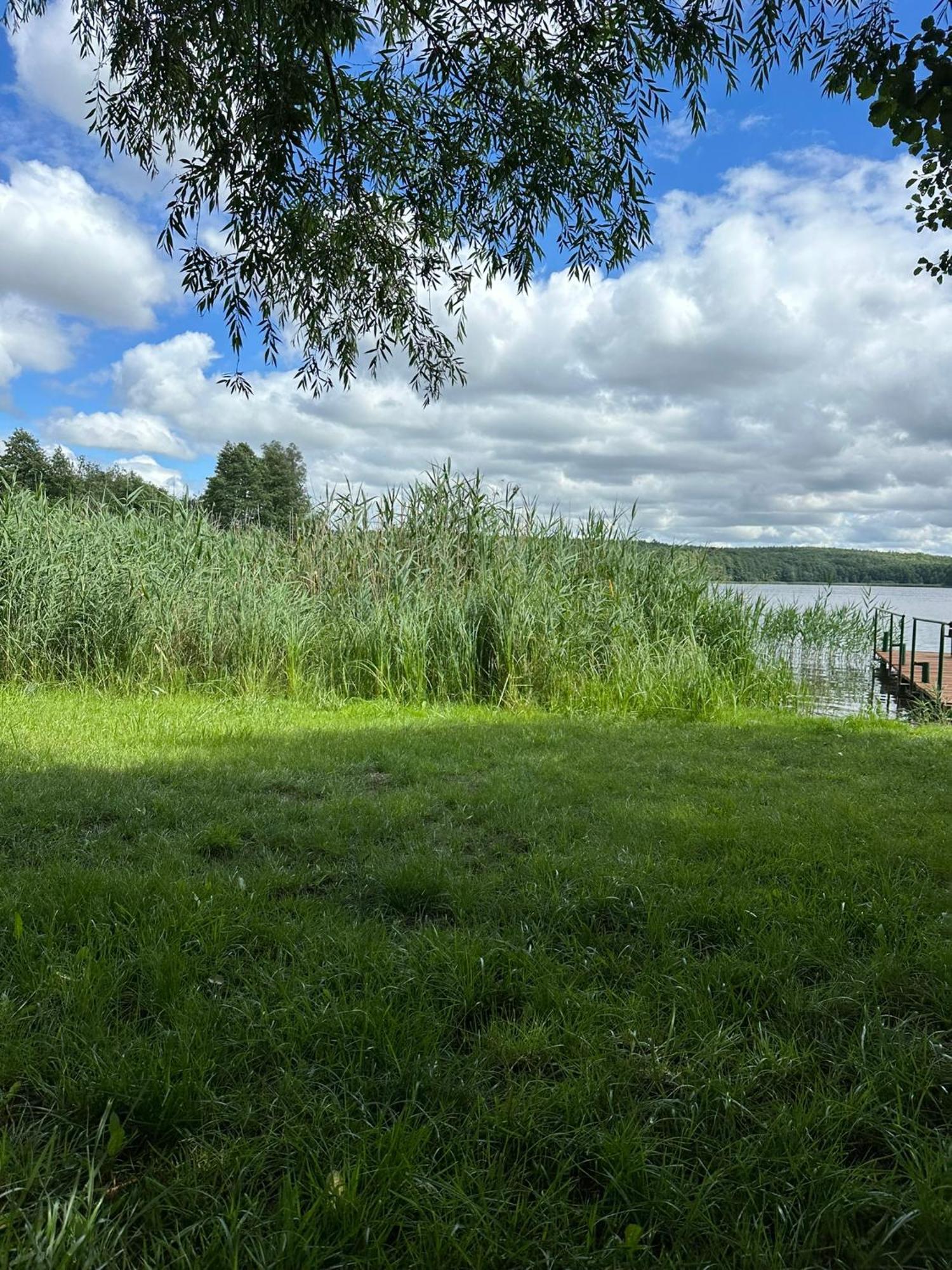 Brzezina Resort - Wille Żnin Esterno foto