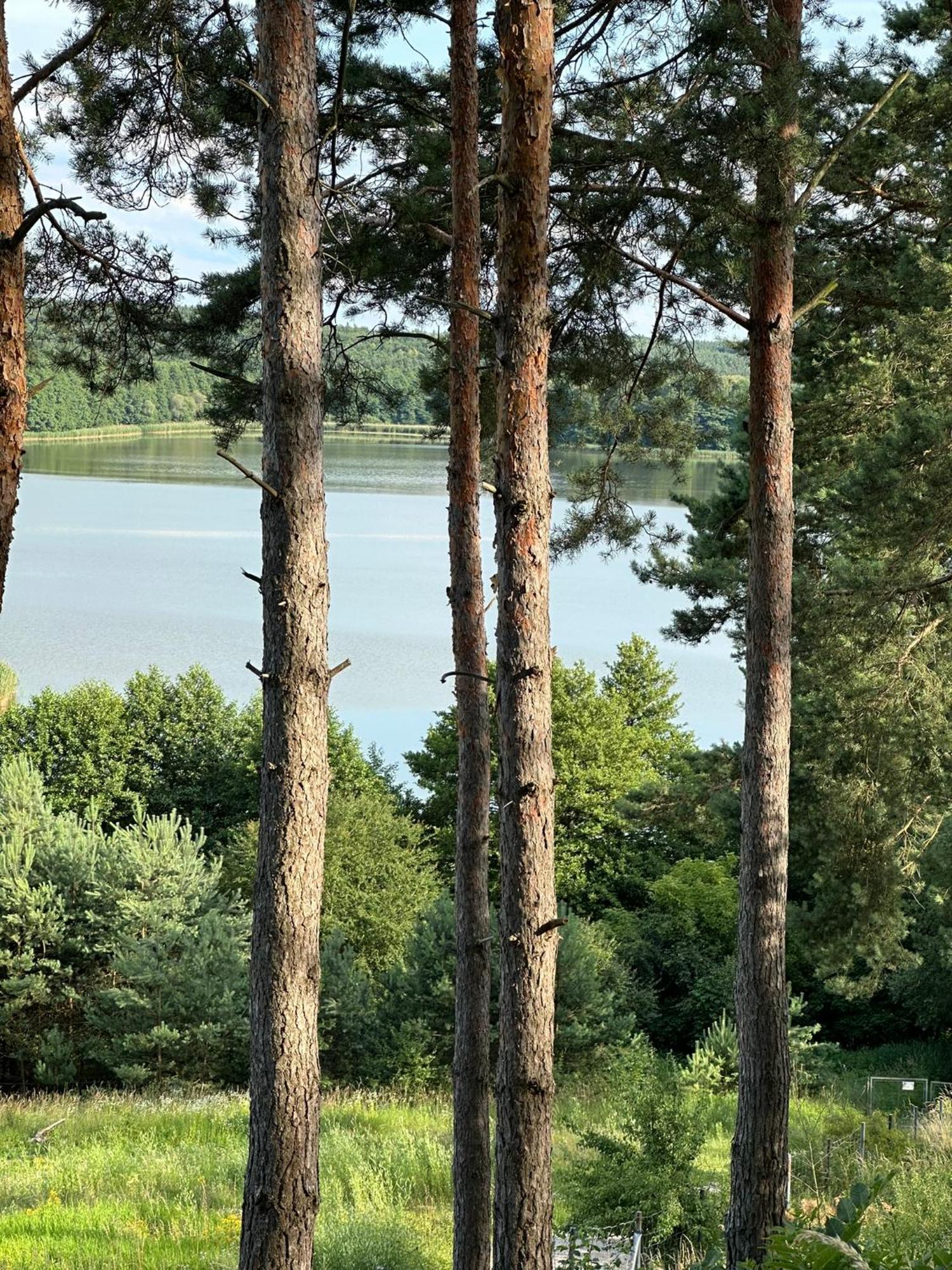 Brzezina Resort - Wille Żnin Esterno foto