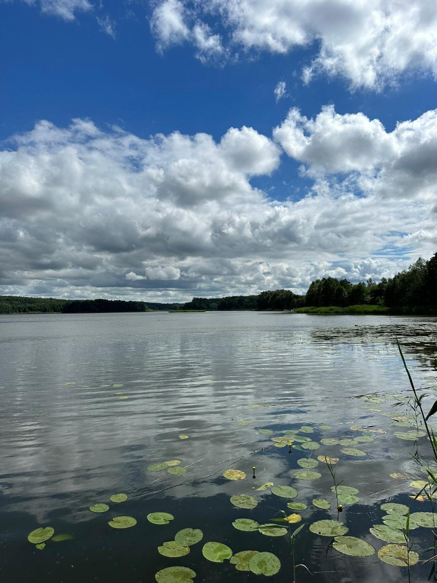 Brzezina Resort - Wille Żnin Esterno foto