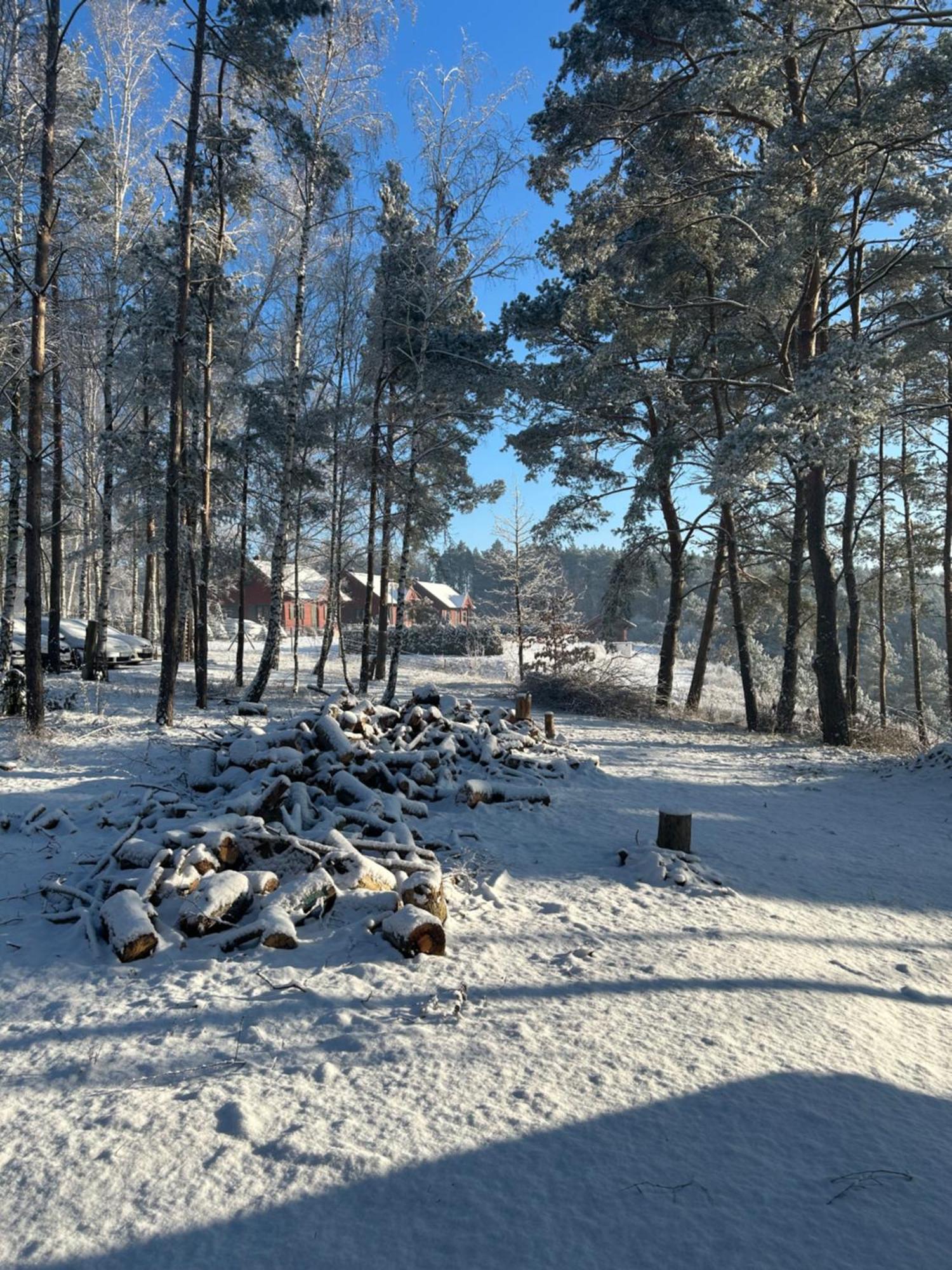 Brzezina Resort - Wille Żnin Esterno foto