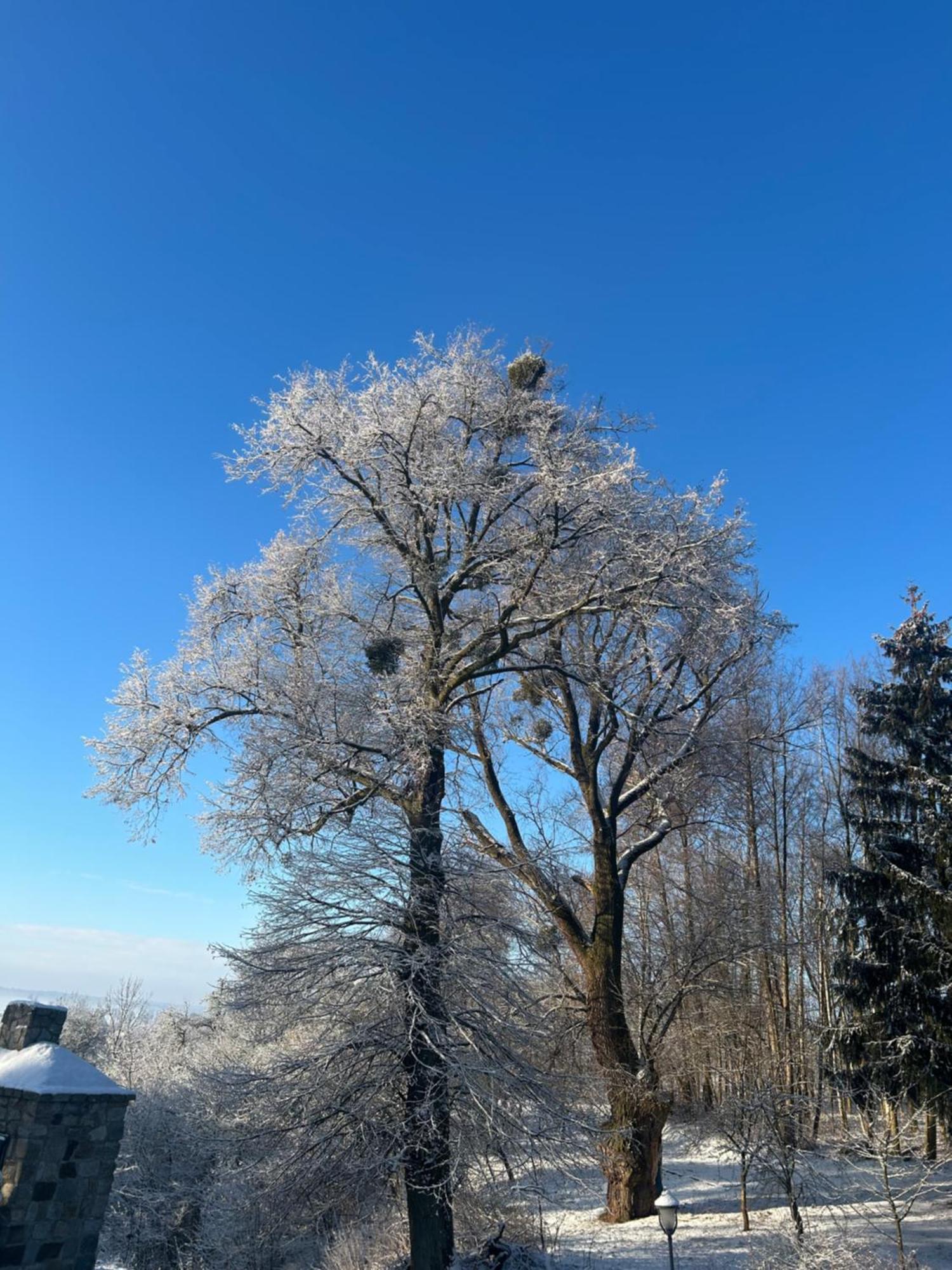 Brzezina Resort - Wille Żnin Esterno foto