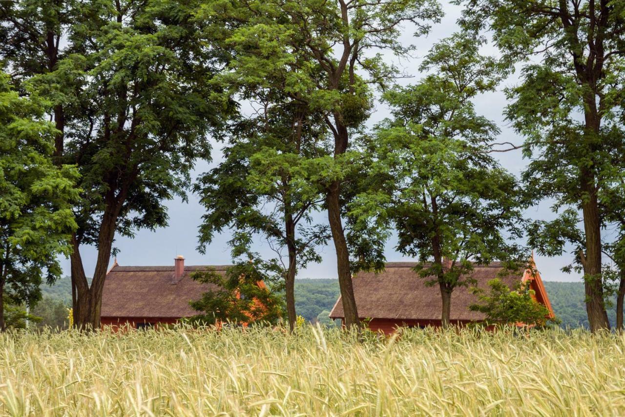 Brzezina Resort - Wille Żnin Esterno foto