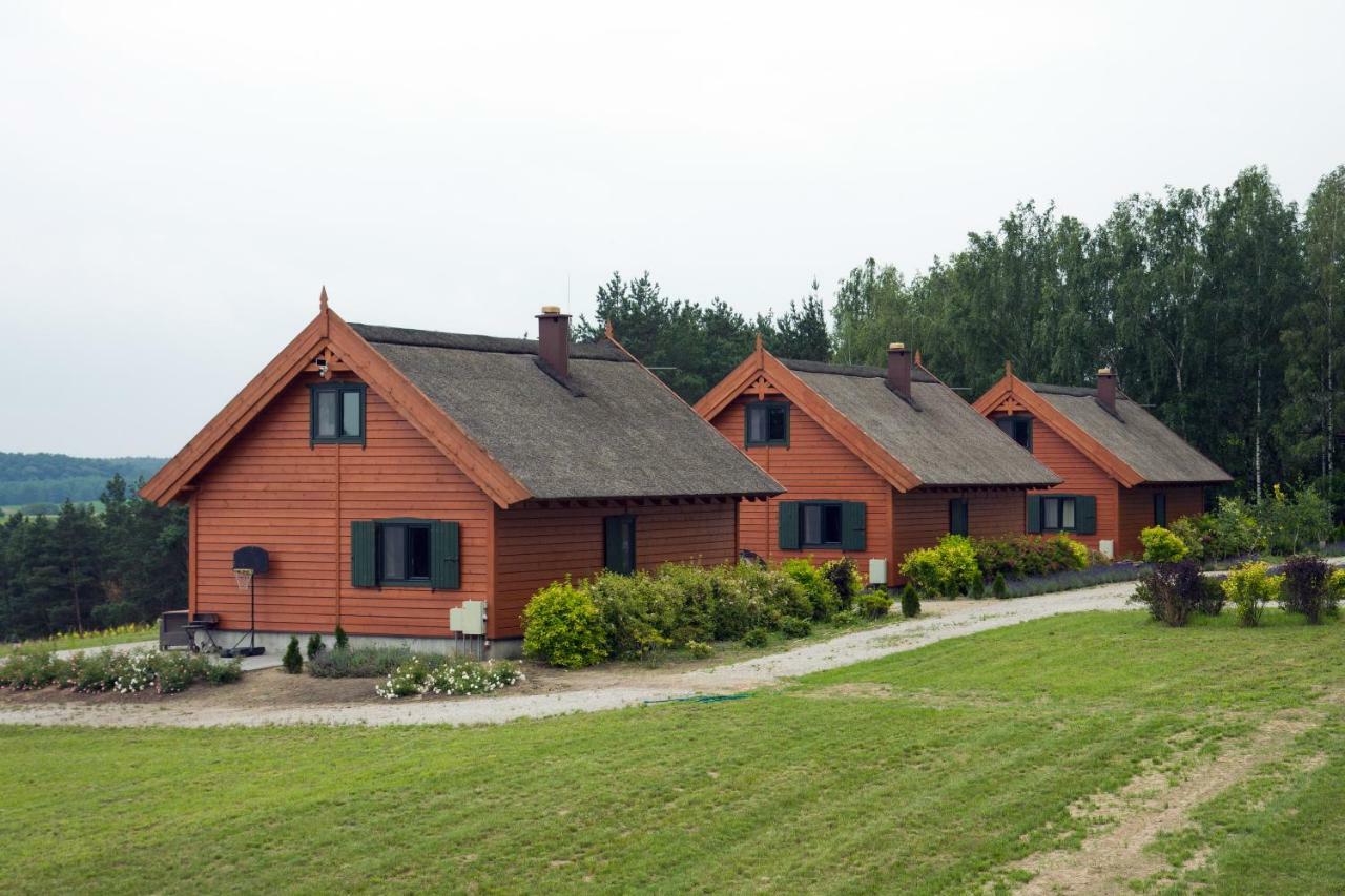 Brzezina Resort - Wille Żnin Esterno foto
