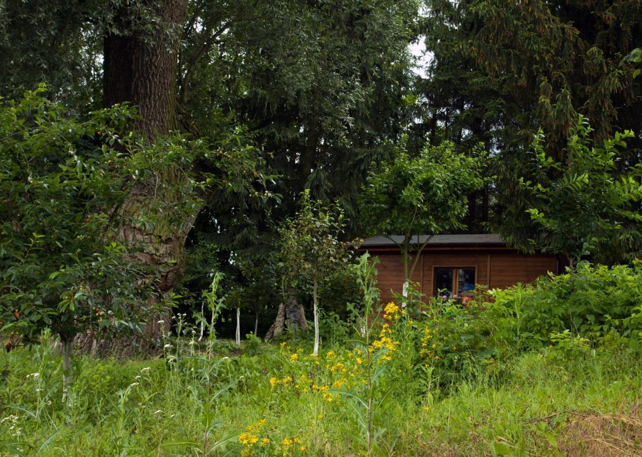 Brzezina Resort - Wille Żnin Esterno foto