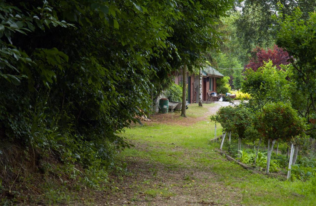 Brzezina Resort - Wille Żnin Esterno foto