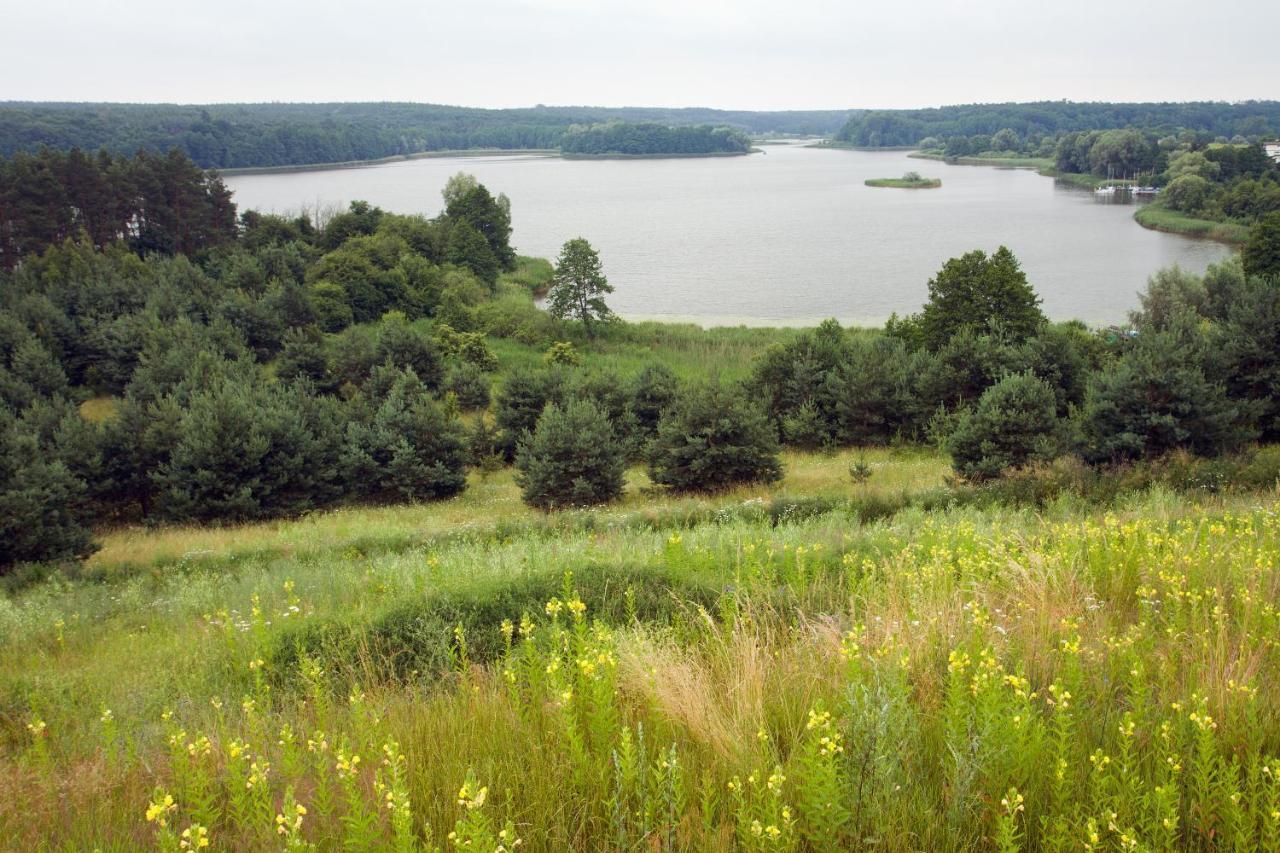 Brzezina Resort - Wille Żnin Esterno foto